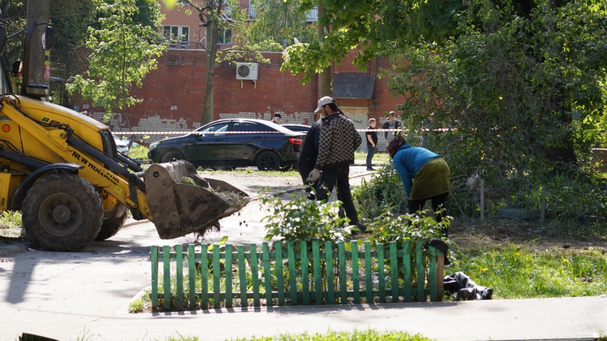 Светлана Мулыкина