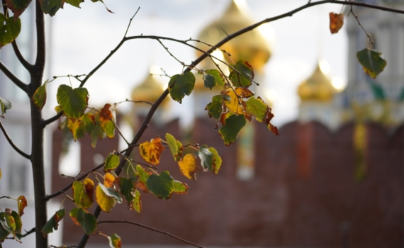 28 ноября отмечаем праздник бухгалтера, 1-й день Рождественского поста, именинники и не только 28 ноября отмечаем праздник бухгалтера, 1-й день Рождественского поста, именинники и не только