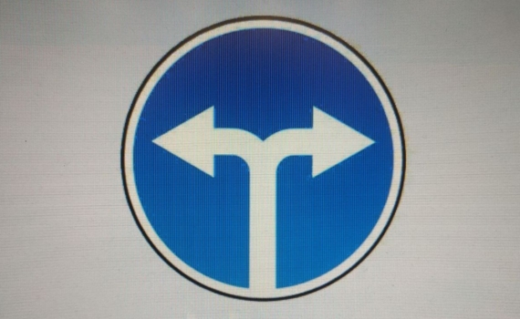 Алексей Прянишников*: раздвоение личности? Алексей Прянишников*: раздвоение личности?